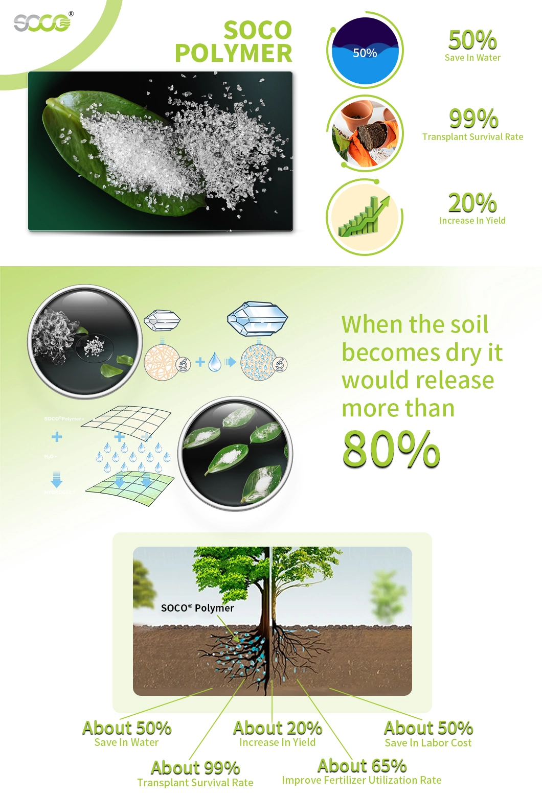 Super Absorbent Polymer Potassium Polyacrylate Hydrogel,Sap Polymer Manufacturer for Agriculture/Horticulture/Bare Root Dipping/Lawn and SOD/Arboriculture/Plant