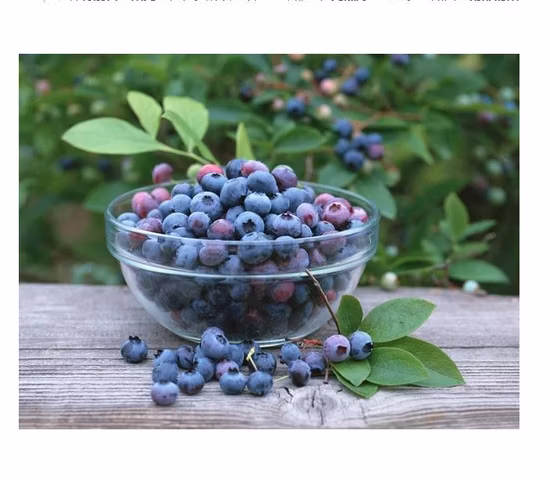 Polimero superassorbente di grado AA.  Polimero super assorbente dell'acqua