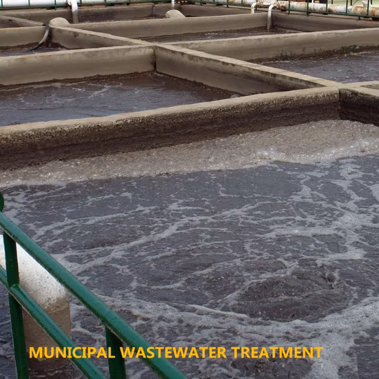 Prodotti chimici per la perforazione di giacimenti petroliferi, materie prime, poliacrilammide anionico, in vendita